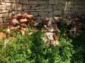 Стари турски керемиди , снимка 4