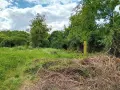 Къща с двор 2,5 декара в село Ресен, снимка 8
