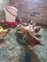 Петлета на четиридесет дни, снимка 3