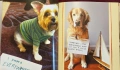 Dog Shaming, снимка 7