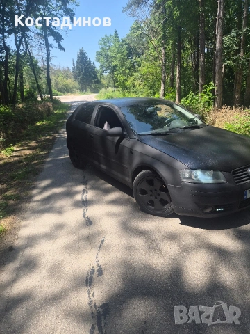 Audi A3 8p 2.0TDI, снимка 3 - Автомобили и джипове - 54973096