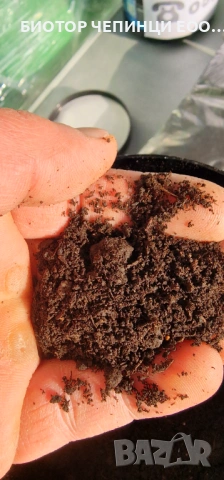 🌱 Тор от Калифорнийски Червей – 100% органично решение, снимка 13 - Стайни растения - 54219695