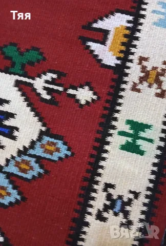 Котленска пътека , снимка 8 - Пътеки - 55398592