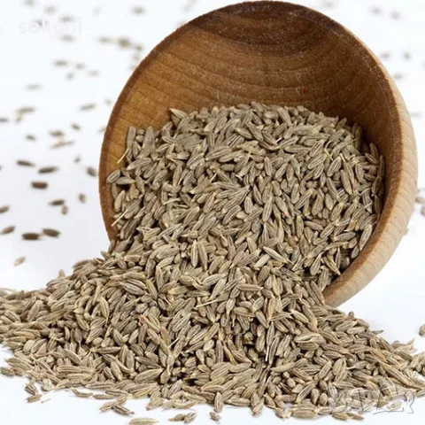 Cumin Whole / Кимион Семена 100гр 