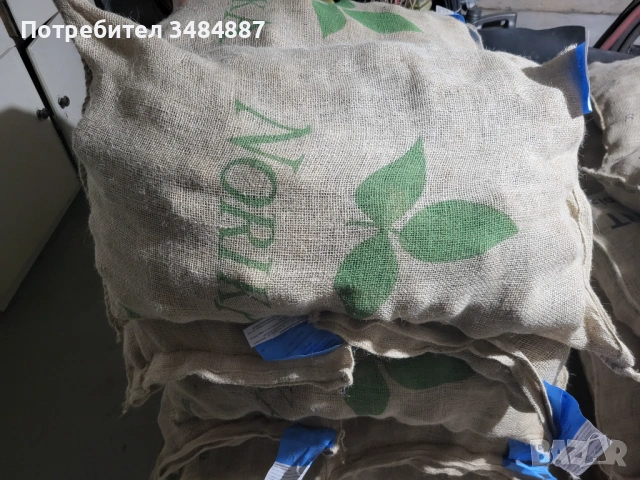 Семе картофи Клас А 35/55 Сорая, Soraya