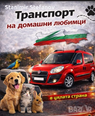 Зоотранспорт на домашни любимци