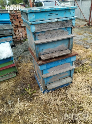 празни кошери, снимка 3 - За пчели - 54395500
