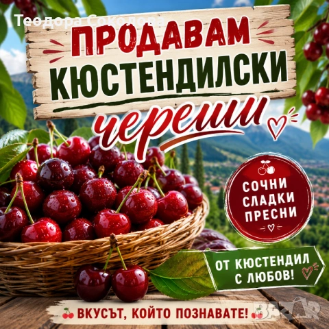 Продавам кюстендилски череши