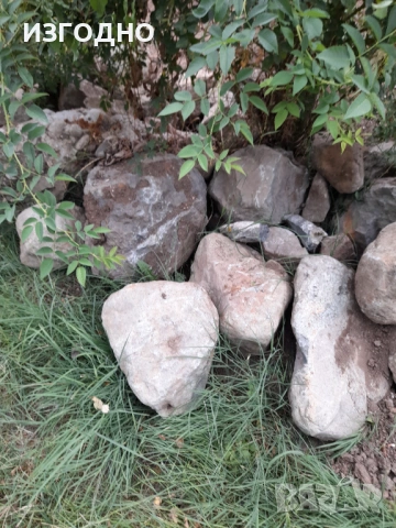 25€ НАИСТИНА БОЯНСКИ КАМЪНИ, снимка 2 - Градински цветя и растения - 54590955