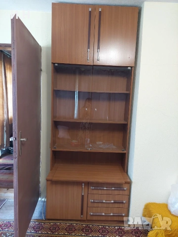 Холна секция, дневна