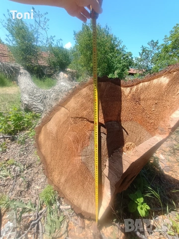 ствол от орех и др., снимка 2 - Други - 54346182