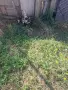 Малки неми патета, снимка 4