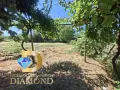 Едноетажна къща в село Спасово, общ. Чирпан, снимка 16