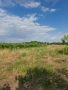 Заграден парцел, снимка 3