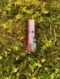 Victorinox Explorer нов швейцарски нож ретро модел, снимка 13