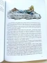 Питър Пан - Джеймс Матю Бари / Илюстрации - Либико Марайа - 2020г., снимка 4