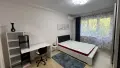 двустаен ап-т със самостоятелна кухня в центъра, снимка 15