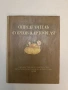 Определитель сортов картофеля - Н. Д. Зайцева (1950), снимка 1