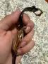 Механичен автоматичен часовник  Patek Philippe geneve tourbillion, снимка 3
