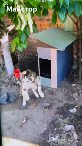 поликарбонат платна с размери 100/120сн, снимка 8 - Градински мебели, декорация  - 54012467