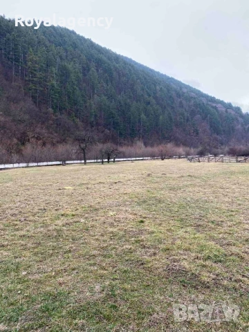 Парцел в Клептуза , снимка 2 - Парцели - 54760107
