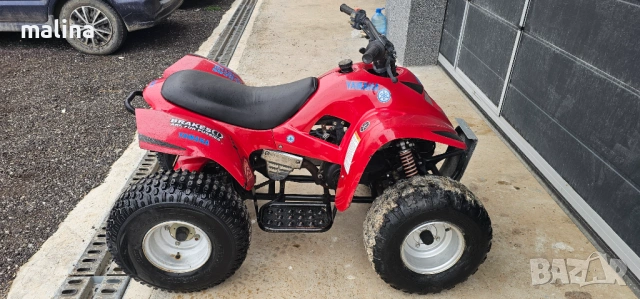 Атв 100кубика внос от Германия , снимка 10 - Мотоциклети и мототехника - 54273784