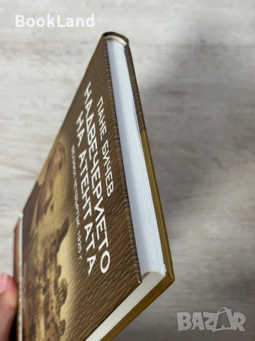Надвечерието на атентата | Пане Бичев , снимка 4 - История, политика и общество - 54939603