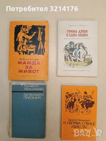 Жажда за живот. Историята на Винсент ван Гог - Ървинг Стоун (Отлично състояние)