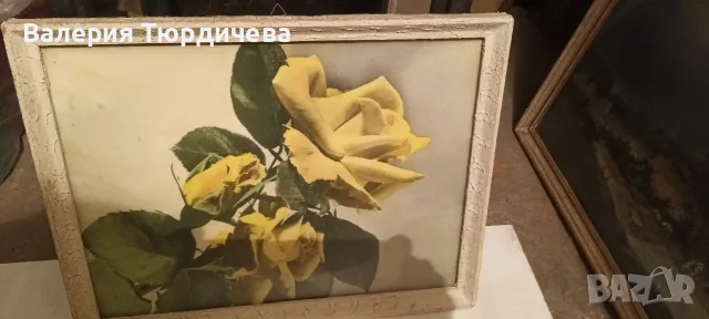 картини и снимки с дървени рамки,стъкла и гръб, снимка 4 - Картини - 55417001
