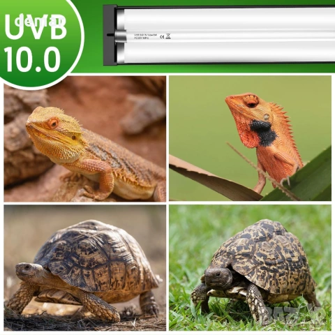 QZQ T5 UVB осветително тяло за влечуги - комбиниран комплект 8W, 10.0 UVB светлина, 31,5 см, снимка 7 - Терариуми и оборудване - 54424559
