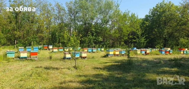 Продавам 10 рамкови рутови кошери