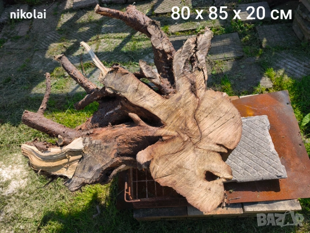 Шайби от корен на Салкъм , снимка 2 - Други - 54438012