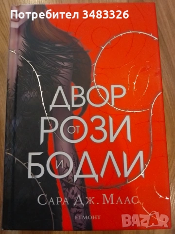 Двор от рози и бодли 