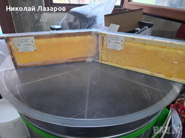 Пчелна пита Див градеж, снимка 4 - Пчелни продукти - 55601062