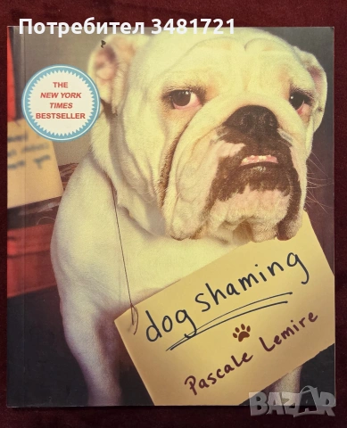 Dog Shaming