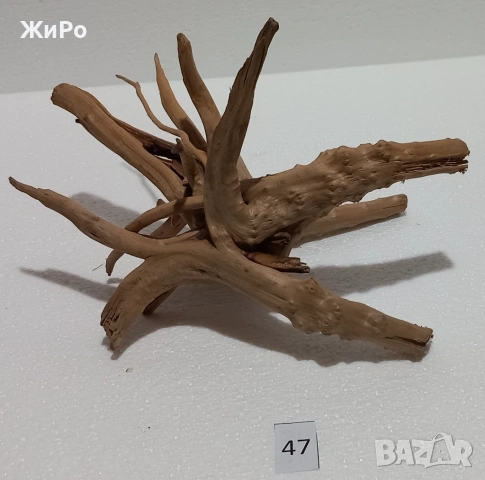 Корен от Азалия /декорация/ 47, снимка 2 - Други - 54102104