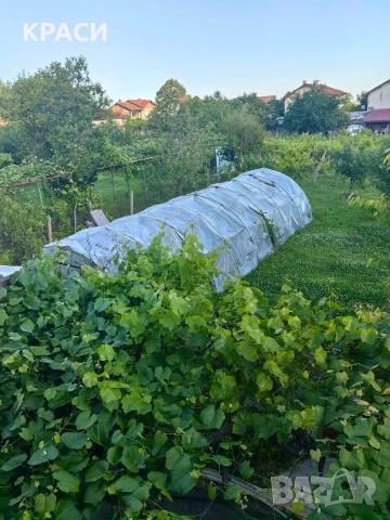 продава парник метална конструкция 