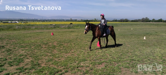 Уроци по конна езда, снимка 6 - Други курсове - 54533126