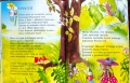 Зайченцето бяло Леда Милева , снимка 3