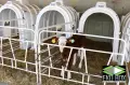 Къщички за новородени телета! Най-доброто качество на балканите!, снимка 5