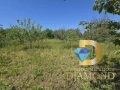 Парцел в село Бяло поле, общ. Опан, снимка 5