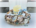 Морски свещник, снимка 4