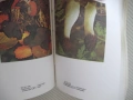 Книга "Нашите гъби - Ц.Хинкова/М.Друмева-Димчева" - 400 стр., снимка 8