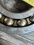 лагер- двуредов, снимка 2