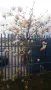 От собственик - Хале до Панаира с телферен кран, офиси и голям двор, снимка 12