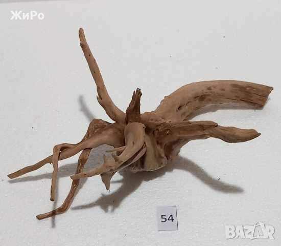 Корен от Азалия /декорация/ 54, снимка 4 - Други - 54102241