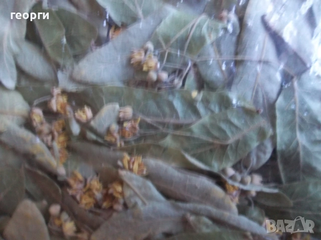Липов цвят сух., снимка 5 - Домашни продукти - 55235655