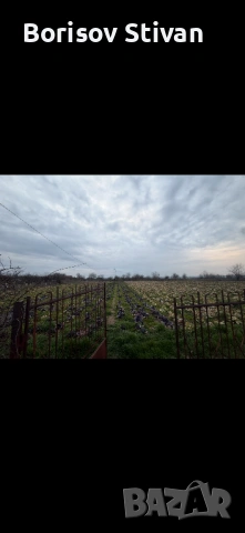 Продавам парцел в регулация на село Капитановци, обл. Видин