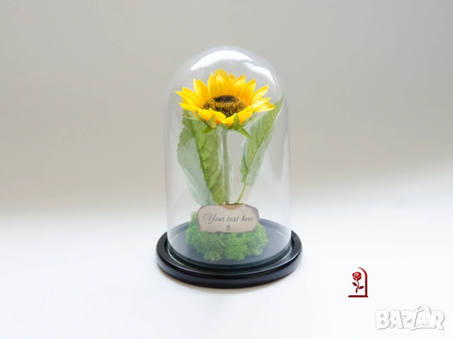 Вечен Слънчоглед в Стъкленица със Скандинавски Мъх / Подарък със Символика за Щастие и Дълголетие, снимка 2 - Подаръци за жени - 54060102