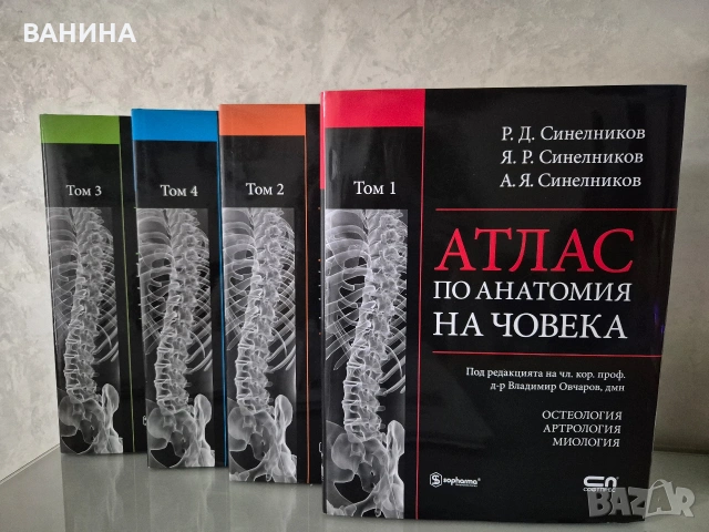 НОВИ! КОЛЕКЦИЯ " АТЛАС ПО АНАТОМИЯ НА ЧОВЕКА " Р.Д. СИНЕЛНИКОВ , снимка 2 - Специализирана литература - 55137759
